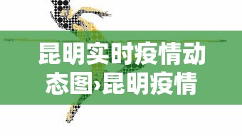 昆明实时疫情动态图›昆明疫情实况