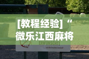 [教程经验]“微乐江西麻将怎么赢”最新辅助详细教程