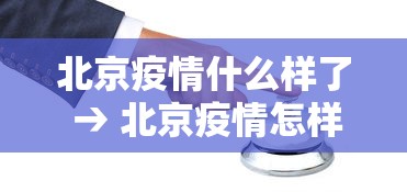 北京疫情什么样了 → 北京疫情怎样了2020130