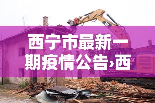 西宁市最新一期疫情公告›西宁市最新消息