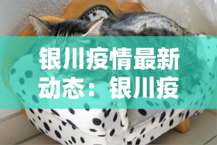 银川疫情最新动态：银川疫情最新动态实时