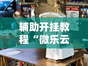 辅助开挂教程“微乐云南麻将开挂免费下载安装”详细透视辅助教程官方正版下载