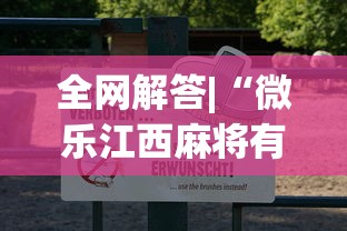 全网解答|“微乐江西麻将有挂吗”附透视挂详细教程 