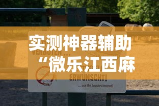 实测神器辅助“微乐江西麻将怎么赢”辅助透视教程