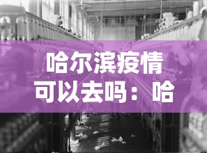 哈尔滨疫情可以去吗：哈尔滨的疫情现在怎么样可以走动吗