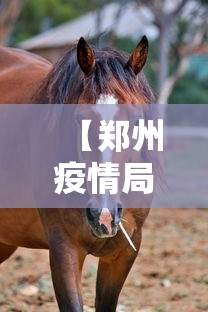 【郑州疫情局势最新动态·郑州疫情局势最新动态消息】
