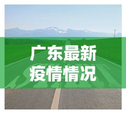广东最新疫情情况怎么样›广东最新疫情进展