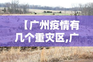 【广州疫情有几个重灾区,广州疫情最重的两个区】