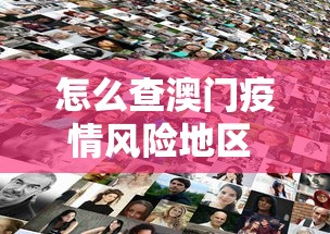怎么查澳门疫情风险地区 → 如何查询澳门出入境情况