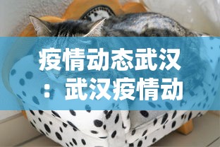 疫情动态武汉：武汉疫情动态追踪