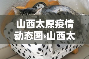 山西太原疫情动态图›山西太原疫情动态图最新