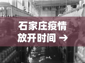 石家庄疫情放开时间 → 石家庄疫情放开了吗