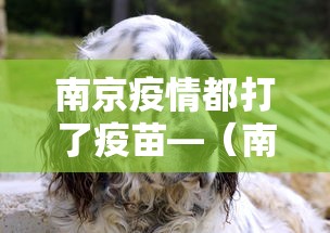 南京疫情都打了疫苗—（南京疫情都打了疫苗怎么办）