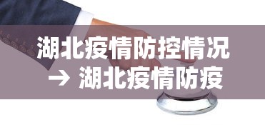 湖北疫情防控情况 → 湖北疫情防疫