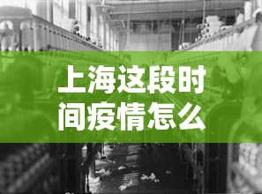 上海这段时间疫情怎么样 → 上海疫情啥样