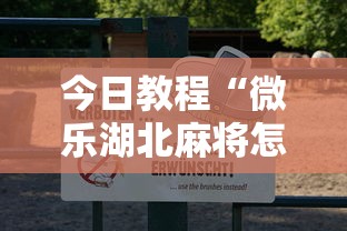 今日教程“微乐湖北麻将怎么开挂”原来可以开挂