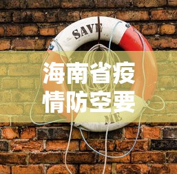 海南省疫情防空要求 → 海南省防疫防控