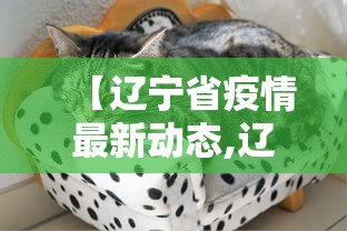 【辽宁省疫情最新动态,辽宁省疫情最新消息新增一例】