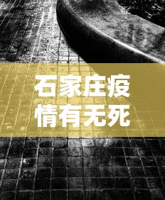 石家庄疫情有无死亡 → 石家庄疫情一共死了多少人