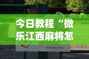今日教程“微乐江西麻将怎么赢!专业师傅带你一起了解(确实有挂)