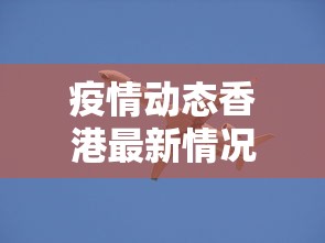 疫情动态香港最新情况›香港疫情最新情况播报