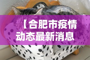 【合肥市疫情动态最新消息,合肥市疫情情况报告】 【合肥市疫情动态最新消息,合肥市疫情情况报告】