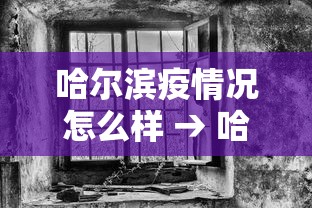 哈尔滨疫情况怎么样 → 哈尔滨疫情估计