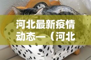 河北最新疫情动态—（河北最新疫情病例）