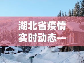 湖北省疫情实时动态—（湖北疫情动态实时播报）