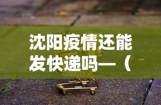 沈阳疫情还能发快递吗—（沈阳疫区能发快递吗）