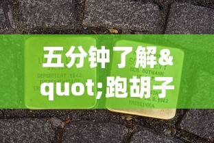 五分钟了解"跑胡子牌有什么技巧”开挂辅助详细步骤