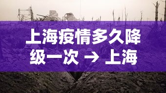 上海疫情多久降级一次 → 上海疫情什么时候降低风险等级 上海疫情多久降级一次 → 上海疫情什么时候降低风险等级