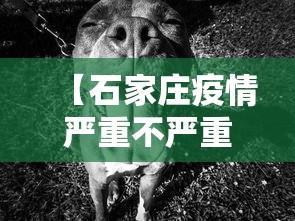 【石家庄疫情严重不严重·石家庄疫情是否严重】