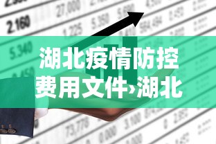 湖北疫情防控费用文件›湖北疫情防控费用文件23年