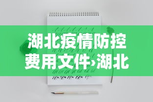 湖北疫情防控费用文件›湖北疫情防控费用文件23年