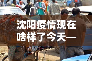 沈阳疫情现在啥样了今天—（沈阳疫情现在啥样了今天最新消息）