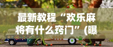 最新教程“欢乐麻将有什么窍门”(曝光透视必备猫腻)