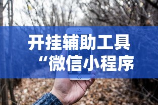 开挂辅助工具“微信小程序功夫川麻一直输”开挂辅助脚本+详细开挂