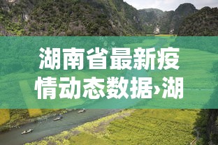 湖南省最新疫情动态数据›湖南省最新疫情动态数据报告