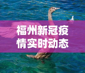福州新冠疫情实时动态图：福州新冠疫情最新消息今天