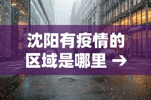 沈阳有疫情的区域是哪里 → 沈阳市有疫情的地区在哪
