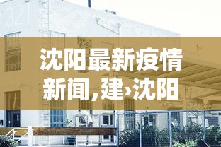 沈阳最新疫情新闻,建›沈阳最新疫情资讯