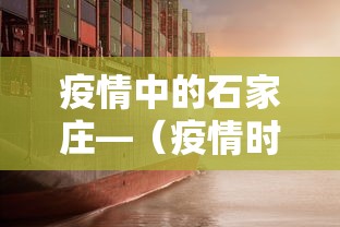 疫情中的石家庄—（疫情时的石家庄）