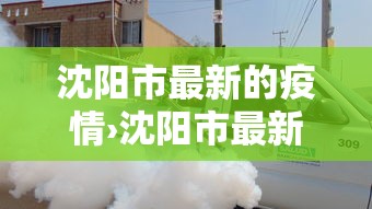 沈阳市最新的疫情›沈阳市最新疫情?