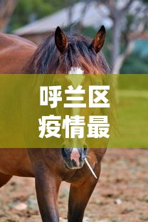 呼兰区疫情最新动态:呼兰区疫情最新动态今天 呼兰区疫情最新动态:呼兰区疫情最新动态今天