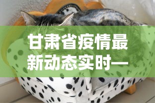 甘肃省疫情最新动态实时—（甘肃省疫情实况）