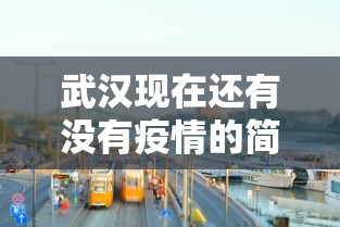 武汉现在还有没有疫情的简单介绍