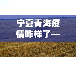 宁夏青海疫情咋样了—（青海疫情最新消息西宁晚报）