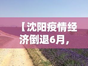 【沈阳疫情经济倒退6月,沈阳疫情好转】