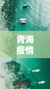 青海疫情行动轨迹最新 → 青海疫情通报
